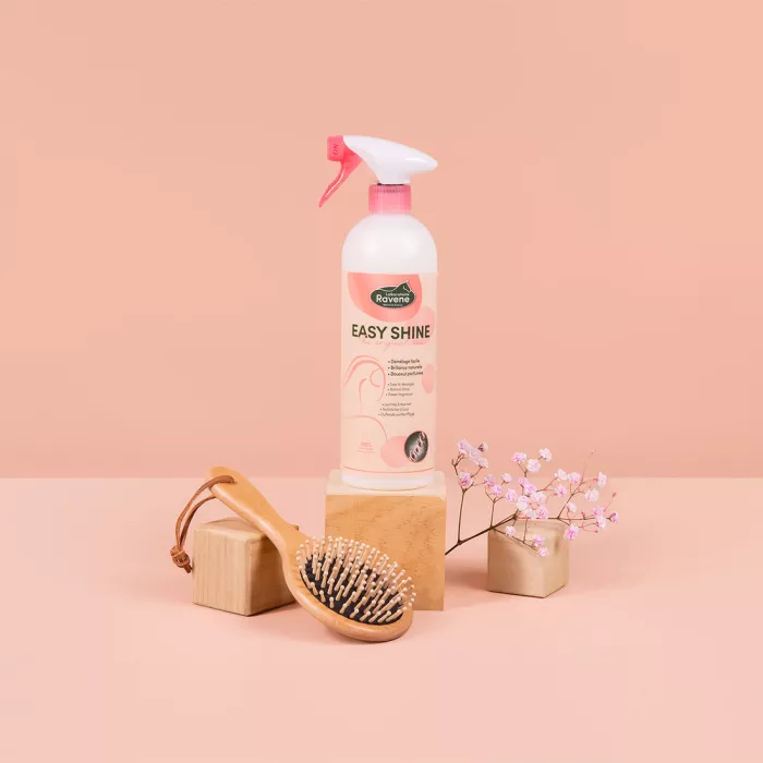 Ravene - Soin lustrant et démêlant EASY SHINE 750ml Ravene