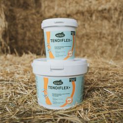 Ravene - Argile TENDIFLEX 4kg Ravene