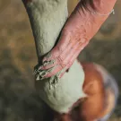 Ravene - Argile TENDIFLEX 4kg Ravene