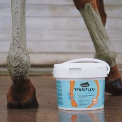 Ravene - Argile TENDIFLEX 4kg Ravene