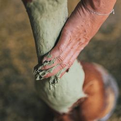 Ravene - Argile TENDIFLEX + Petit modèle 1.5kg Ravene