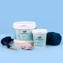 Ravene - Argile TENDIFLEX + Petit modèle 1.5kg Ravene