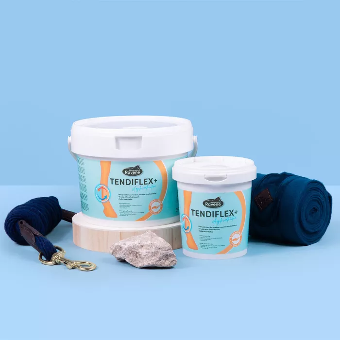 Ravene - Argile TENDIFLEX + Petit modèle 1.5kg Ravene