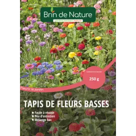 Brin de Nature - Tapis de fleurs basses (250gr) Carneau