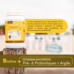 Ravene - BIODYNE Granulés 1kg