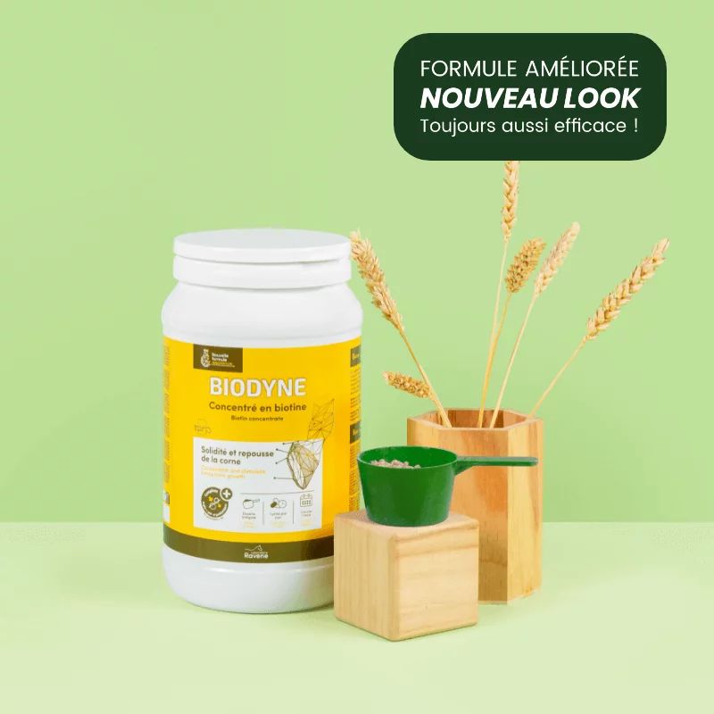 Ravene - BIODYNE Granulés 1kg Ravene