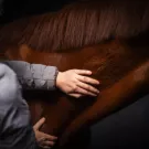 Cura Naturale Huile naturelle 125 ml Cura Naturale