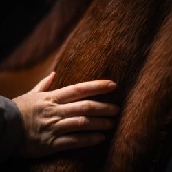 Cura Naturale Huile naturelle 125 ml Cura Naturale