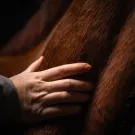 Cura Naturale Huile naturelle 125 ml Cura Naturale