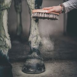 Cura Naturale Argile après effort 1.75 kg Cura Naturale