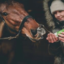 Cura Naturale Huile après effort 125 ml Cura Naturale