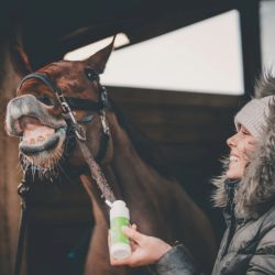 Cura Naturale Huile après effort 125 ml Cura Naturale