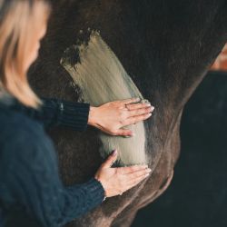 Cura Naturale Argile confort musculaire 4 kg Cura Naturale