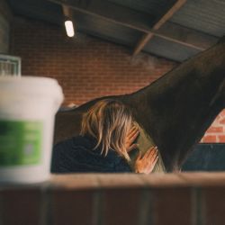 Cura Naturale Argile confort musculaire 1.75 kg Cura Naturale