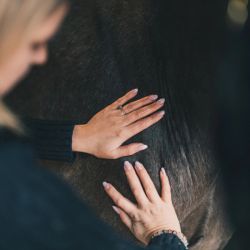 Cura Naturale Huile confort musculaire 125 ml Cura Naturale