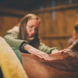 Cura Naturale Huile chauffante 125 ml Cura Naturale