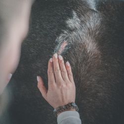 Cura Naturale Baume réparateur 250 g Cura Naturale