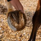 Cura Naturale Argile assainissante sabots 500 ml Cura Naturale