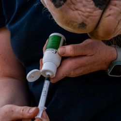 Cura Naturale Aliment complémentaire confort articulaire Cura Naturale