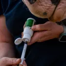 Cura Naturale Aliment complémentaire confort articulaire Cura Naturale