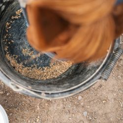 Cura Naturale Complément argile alimentaire Cura Naturale