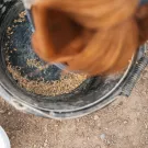 Cura Naturale Complément argile alimentaire Cura Naturale