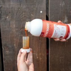 Ravene - Solution énergétique NUTRI'BOOST - 900 ml Ravene