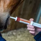 Ravene - Booster NUTRI'BOOST Flash seringue 30ml Ravene