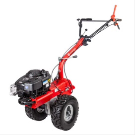 Eurosystems P70 (Briggs & Stratton - Démarrage électrique) - Cellul...