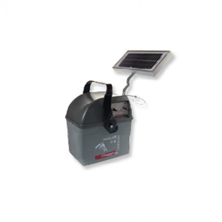 Electrificateur accumulateur