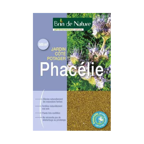 Phacelie Brin de Nature