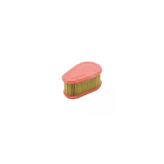 F1 Distribution - Filtre à air moteur Briggs & Stratton DOV