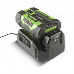 Chargeur standard