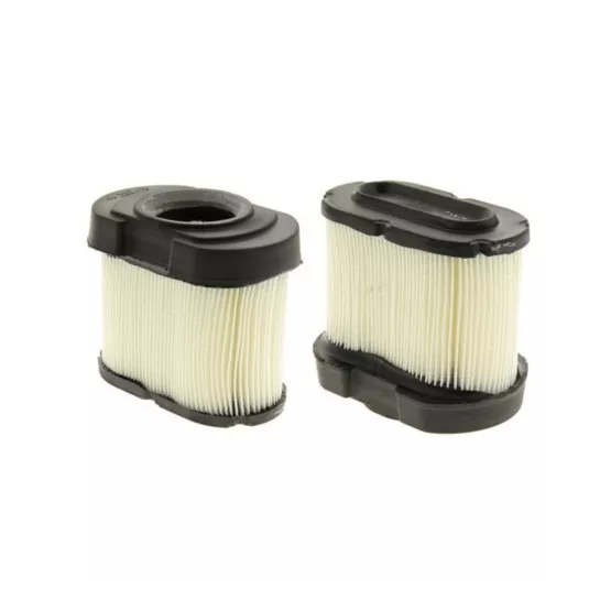 Filtre à air Briggs stratton