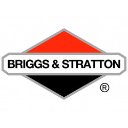 Filtre à air Briggs stratton