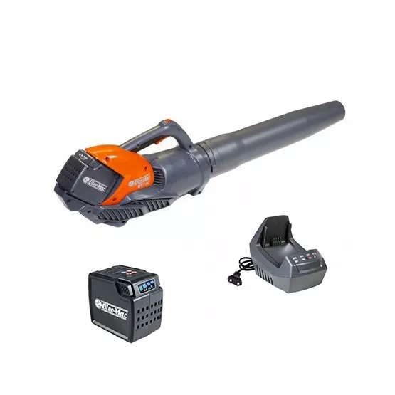 Pack souffleur à batterie Oleo-Mac BVI60 2.5 Ah