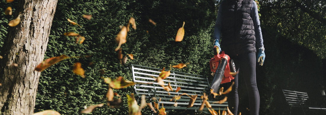 Que faire au jardin en automne ?