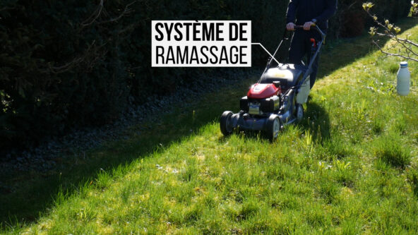 Système de ramassage