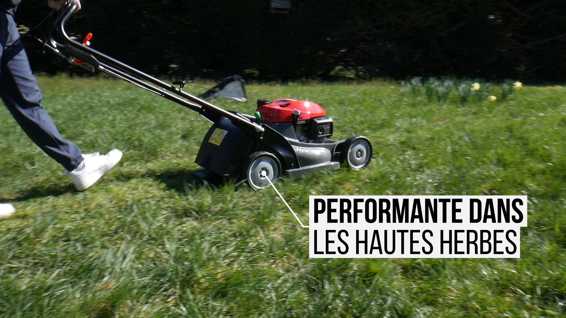 Performante dans les hautes herbes