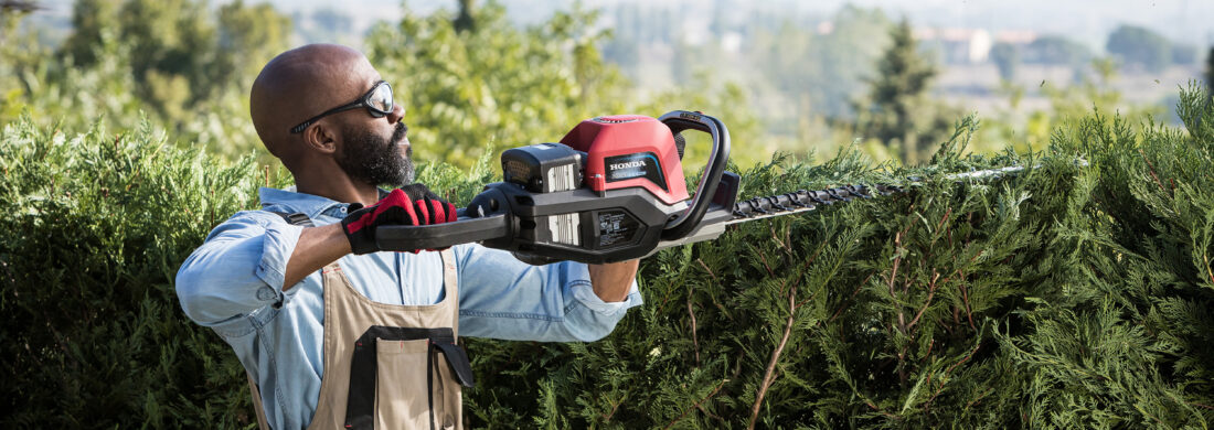 Que faire au jardin en été ?