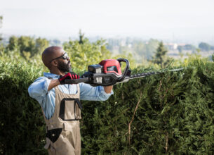Que faire au jardin en été ?