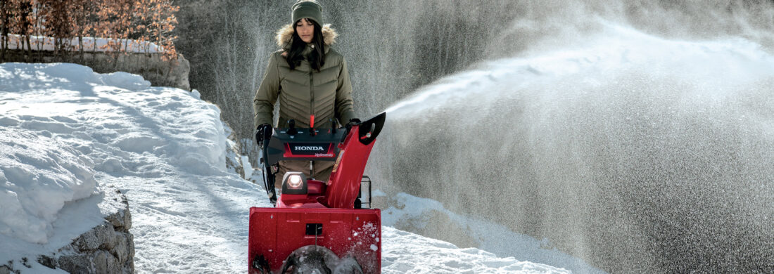 Que faire au jardin en hiver