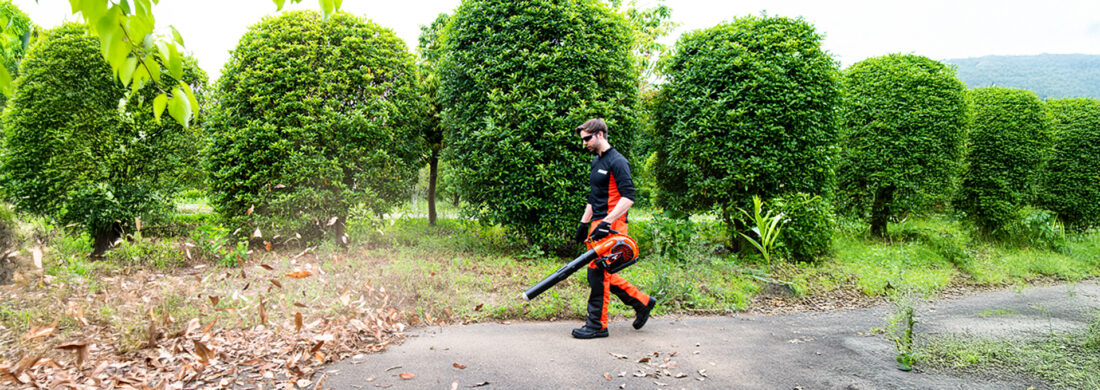 Quel type de souffleur pour mon jardin ?