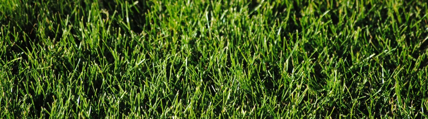 Batterie offerte EGO dès 899€