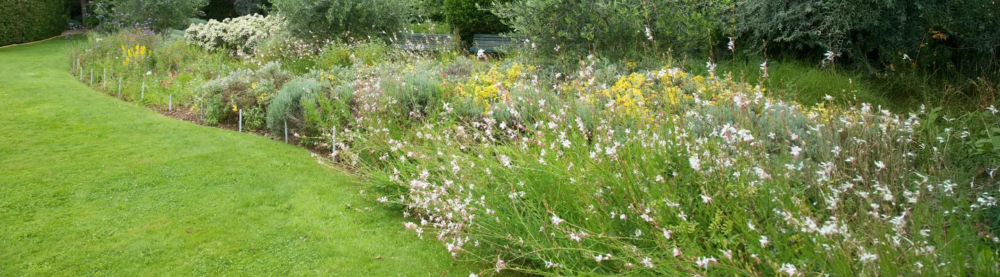 Dresse-Bordure Électrique, Manuel & Thermique | Foliatura