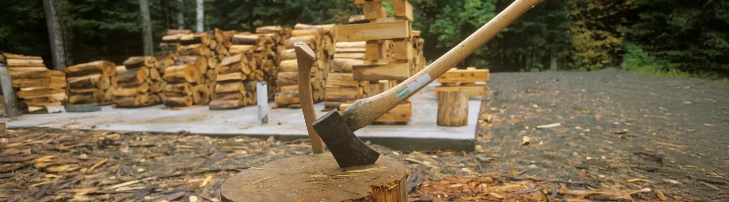 Hache, Sapie & Coin d’Abattage forestier | Foliatura