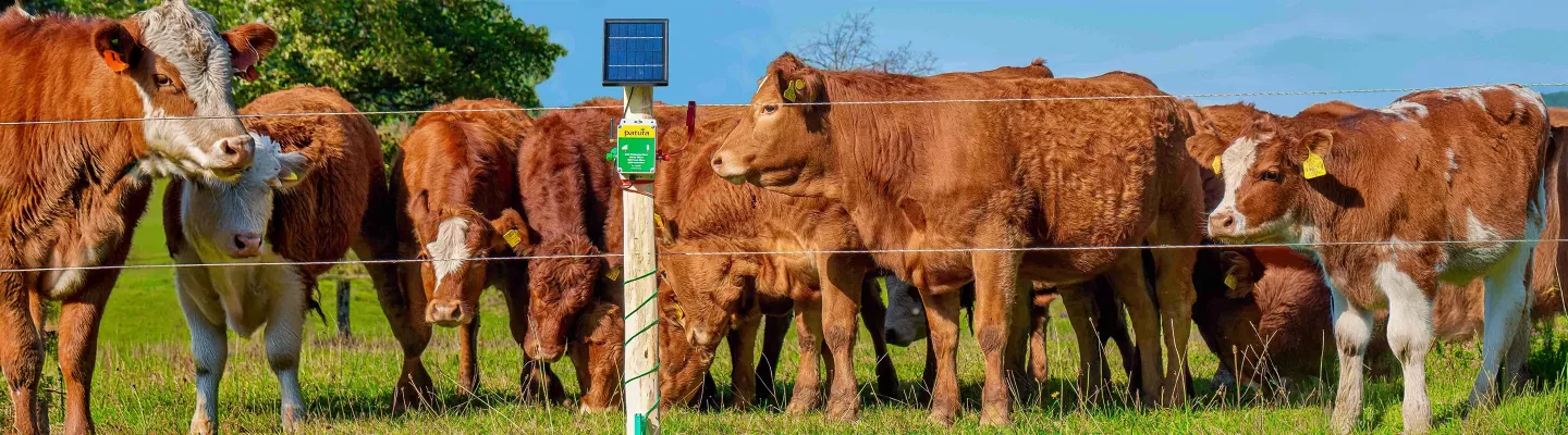 Électrificateurs Batterie pour Clôture | Foliatura