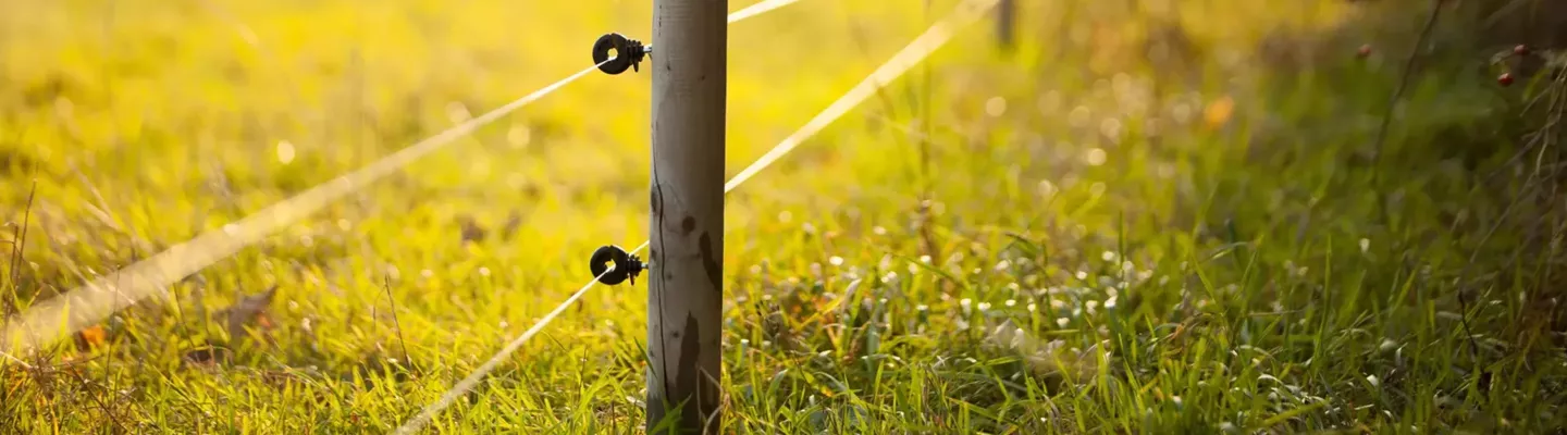 Piquets Plastique pour Clôture Électrique | Foliatura