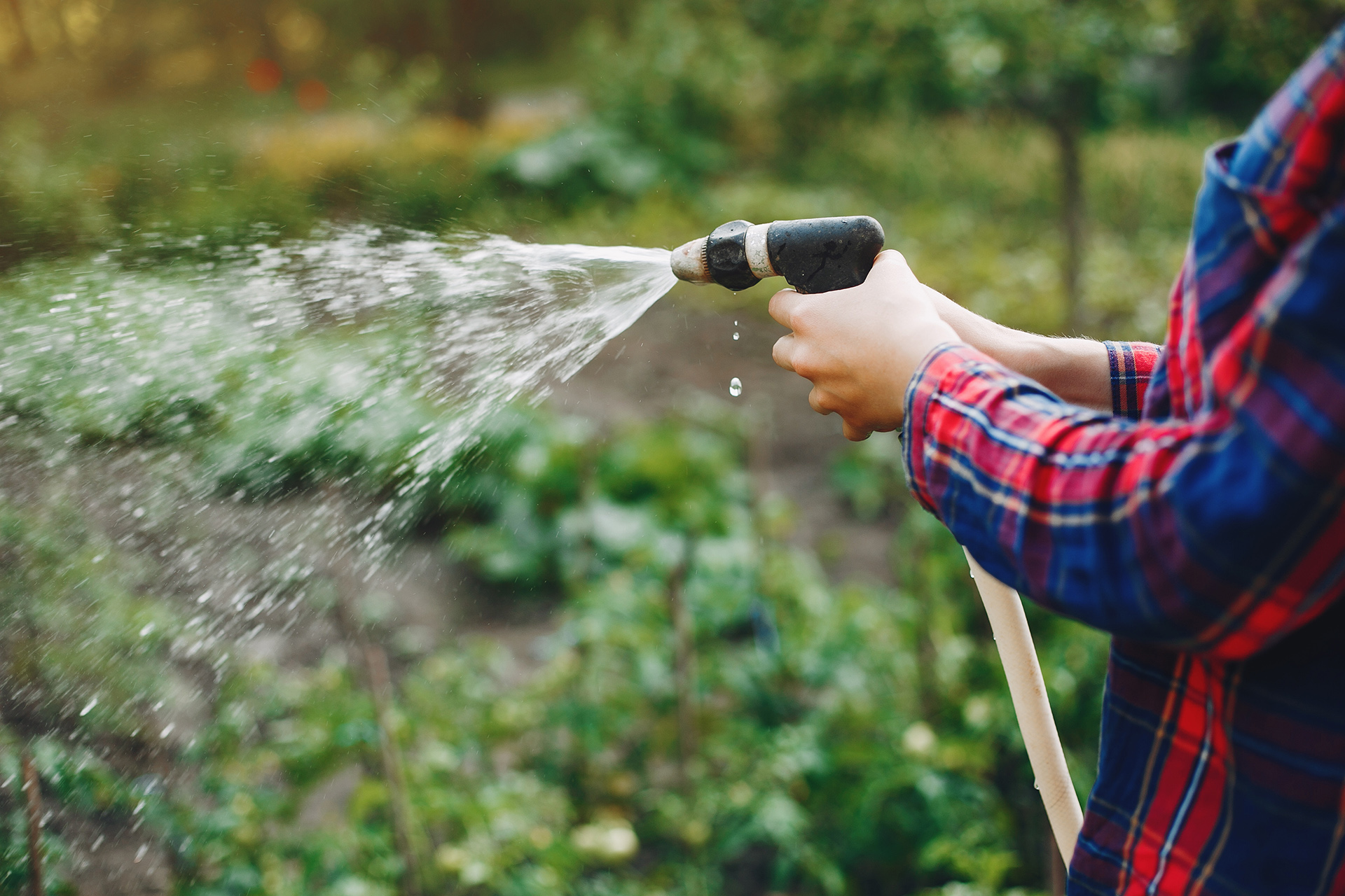 Arroser votre jardin