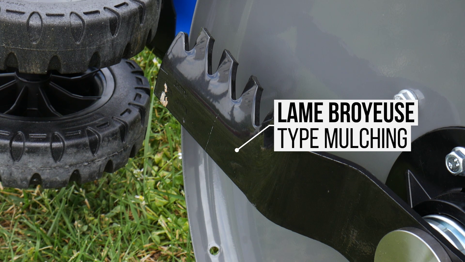 Lame broyeuse type mulching